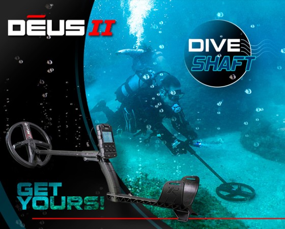 D2 dive shaft